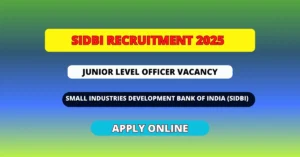 Junior Level Officer